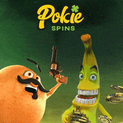 Pokie Spins Casino